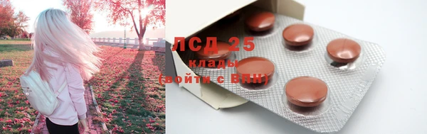 эйфоретик Абинск