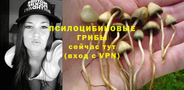дурь Абаза